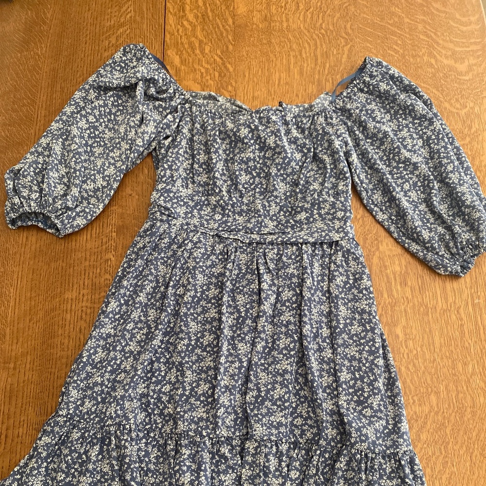 Blue and white floral dress